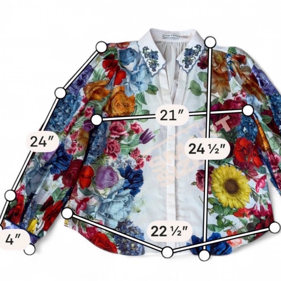 Alice + Olivia Floral Placement Blouse L Pink Sheer Statement Collar Designer - Picture 6 of 9